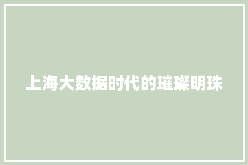 上海大数据时代的璀璨明珠