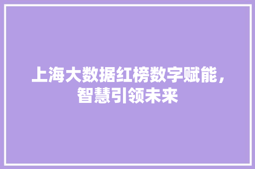 上海大数据红榜数字赋能，智慧引领未来