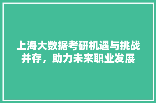 上海大数据考研机遇与挑战并存，助力未来职业发展