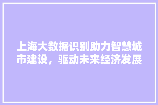 上海大数据识别助力智慧城市建设，驱动未来经济发展 友链在线