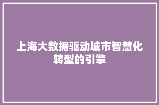 上海大数据驱动城市智慧化转型的引擎 建站教程