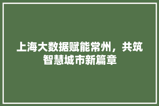 上海大数据赋能常州，共筑智慧城市新篇章