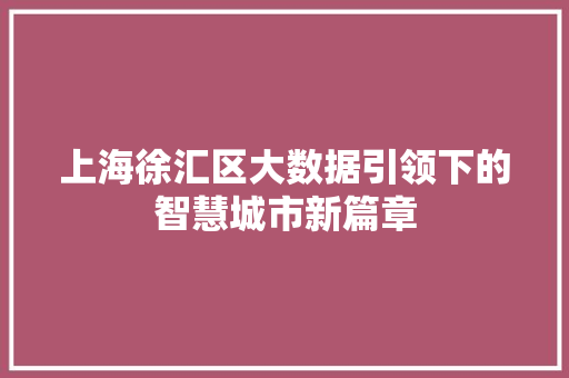 上海徐汇区大数据引领下的智慧城市新篇章 Web前端