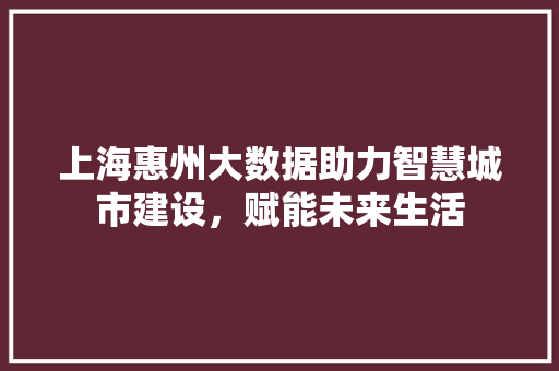 上海惠州大数据助力智慧城市建设，赋能未来生活