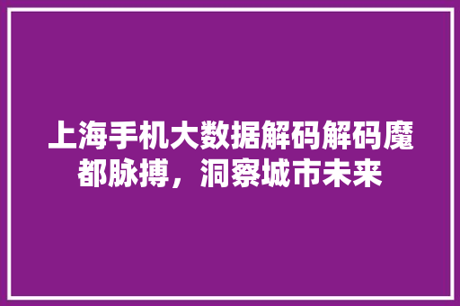 上海手机大数据解码解码魔都脉搏，洞察城市未来