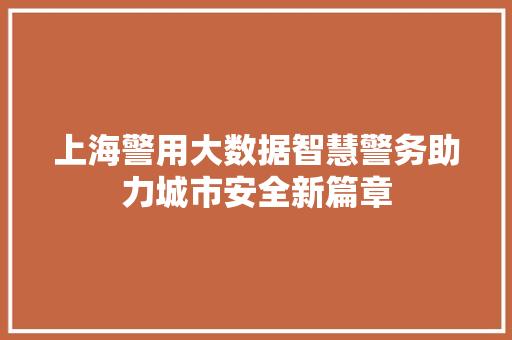 上海警用大数据智慧警务助力城市安全新篇章 WordPress教程
