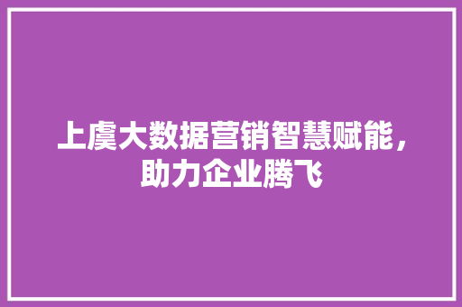 上虞大数据营销智慧赋能，助力企业腾飞