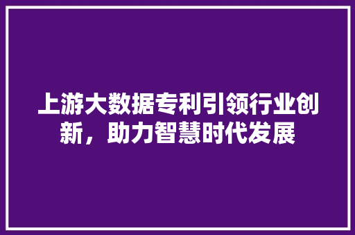上游大数据专利引领行业创新，助力智慧时代发展