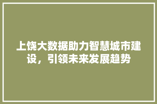 上饶大数据助力智慧城市建设，引领未来发展趋势
