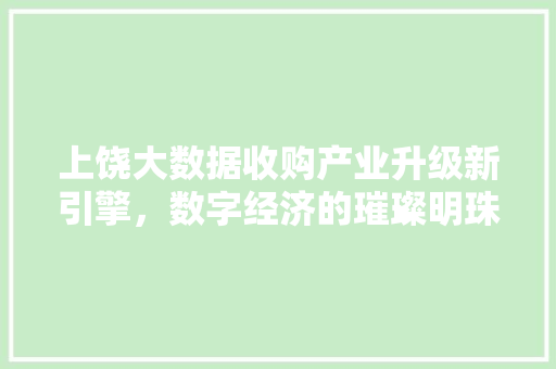上饶大数据收购产业升级新引擎，数字经济的璀璨明珠 WordPress教程