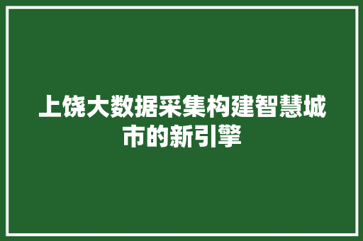上饶大数据采集构建智慧城市的新引擎 建站教程