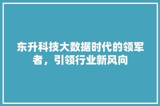 东升科技大数据时代的领军者，引领行业新风向