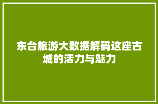 东台旅游大数据解码这座古城的活力与魅力