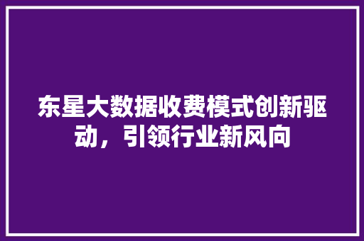 东星大数据收费模式创新驱动，引领行业新风向