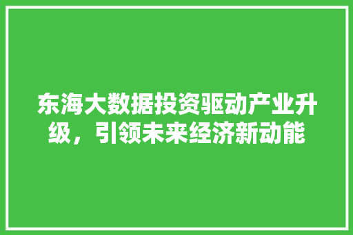 东海大数据投资驱动产业升级，引领未来经济新动能