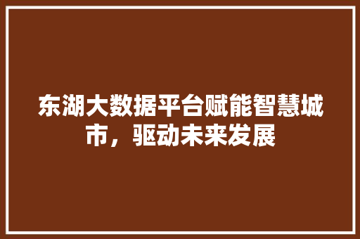 东湖大数据平台赋能智慧城市，驱动未来发展