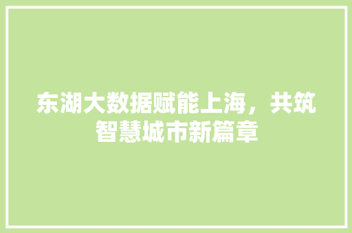 东湖大数据赋能上海，共筑智慧城市新篇章