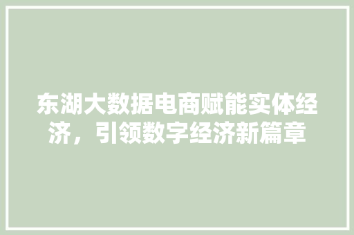 东湖大数据电商赋能实体经济，引领数字经济新篇章