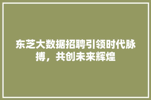 东芝大数据招聘引领时代脉搏，共创未来辉煌