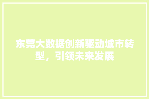 东莞大数据创新驱动城市转型，引领未来发展