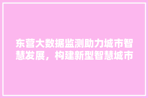 东营大数据监测助力城市智慧发展，构建新型智慧城市