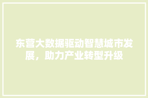 东营大数据驱动智慧城市发展，助力产业转型升级
