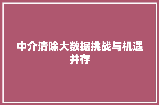 中介清除大数据挑战与机遇并存