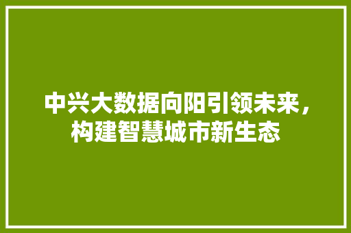 中兴大数据向阳引领未来，构建智慧城市新生态