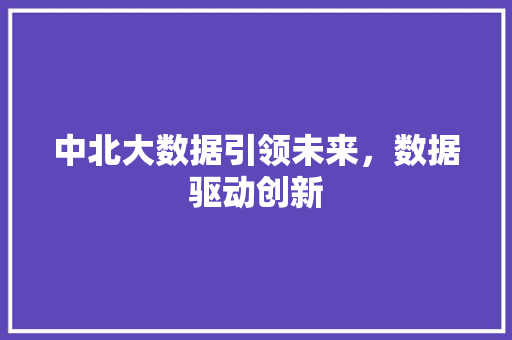 中北大数据引领未来，数据驱动创新 友链在线