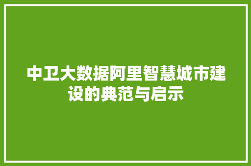 中卫大数据阿里智慧城市建设的典范与启示 建站教程
