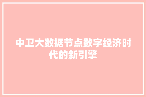中卫大数据节点数字经济时代的新引擎 WordPress教程
