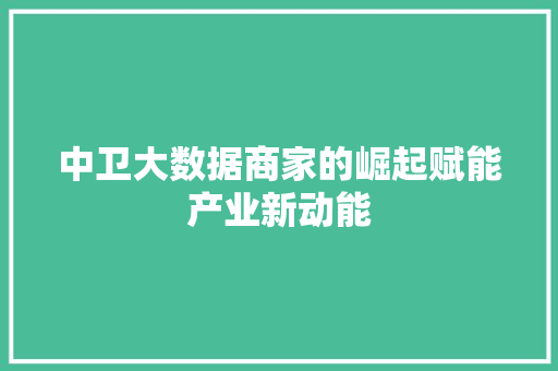 中卫大数据商家的崛起赋能产业新动能 SEO教程
