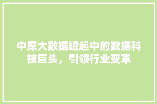中原大数据崛起中的数据科技巨头，引领行业变革 Web前端