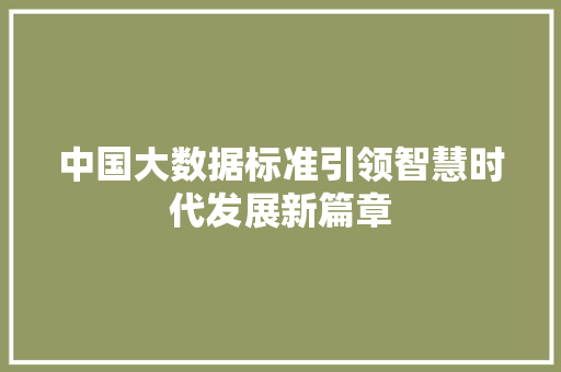 中国大数据标准引领智慧时代发展新篇章