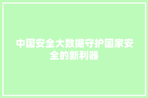 中国安全大数据守护国家安全的新利器
