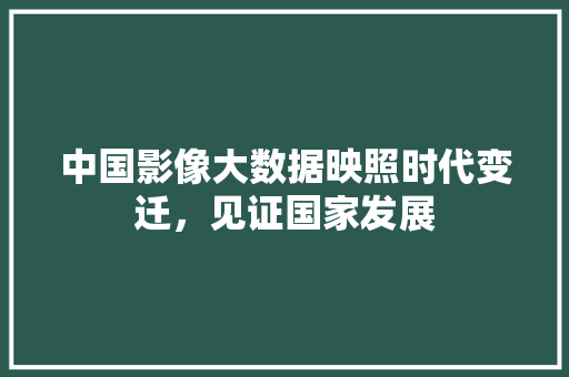 中国影像大数据映照时代变迁，见证国家发展
