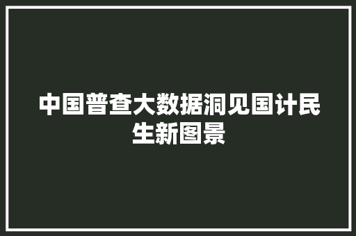 中国普查大数据洞见国计民生新图景