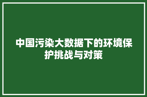 中国污染大数据下的环境保护挑战与对策