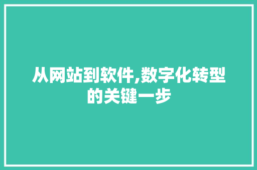 从网站到软件,数字化转型的关键一步