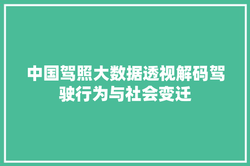 中国驾照大数据透视解码驾驶行为与社会变迁