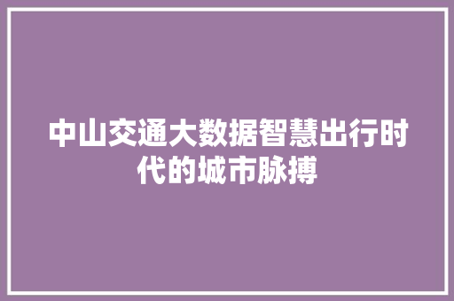 中山交通大数据智慧出行时代的城市脉搏