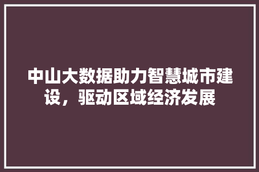 中山大数据助力智慧城市建设，驱动区域经济发展