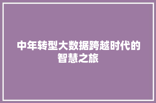 中年转型大数据跨越时代的智慧之旅