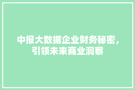 中报大数据企业财务秘密，引领未来商业洞察