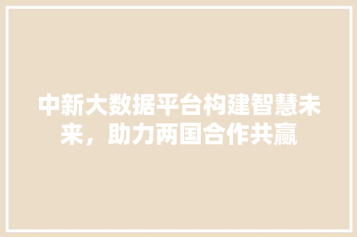 中新大数据平台构建智慧未来，助力两国合作共赢