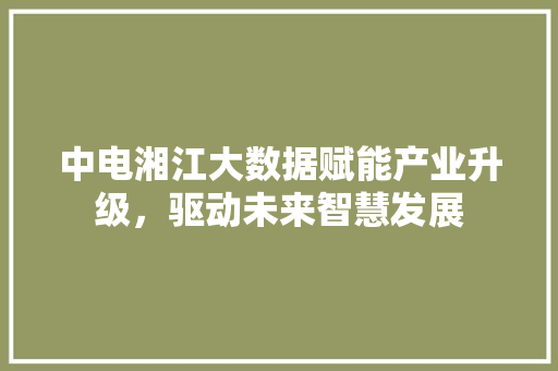 中电湘江大数据赋能产业升级，驱动未来智慧发展