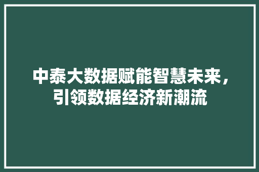 中泰大数据赋能智慧未来，引领数据经济新潮流
