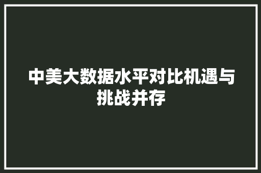 中美大数据水平对比机遇与挑战并存