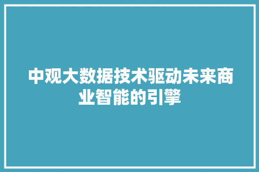 中观大数据技术驱动未来商业智能的引擎