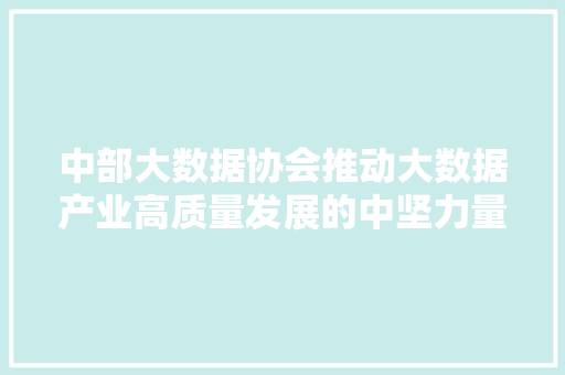 中部大数据协会推动大数据产业高质量发展的中坚力量